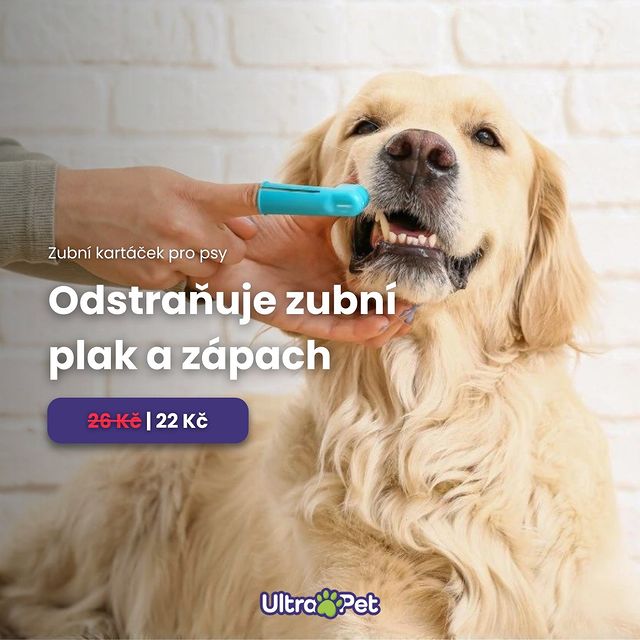 👉 2 druhy kartáčků na prst: zubní kartáček a masážní kartáček. 👉 Tvrdší kartáček je určen na čištění zubů od usazujícího...