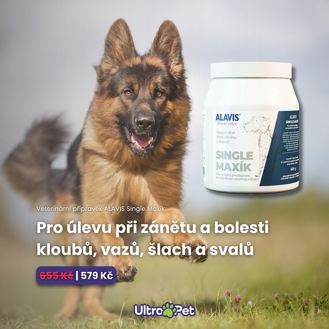 🐕‍🦺 Při zánětu a bolesti kloubů, vazů, šlach a svalů. 🐕‍🦺 Pro snížení predispozic ke kloubním onemocněním. 🐕‍🦺 Pro...