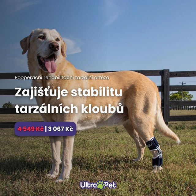 Díky FLEXORu mohou být pohyby tarzálního kloubu regulovány nebo uzamčeny do plné imobilizace, což umožňuje správné hojení...