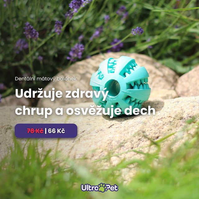 🦷 Při hře pes hračku žvýká a přitom si o jednotlivé výstupky čistí zuby od zubního plaku a masíruje dásně. 🦷 Hračka je s...