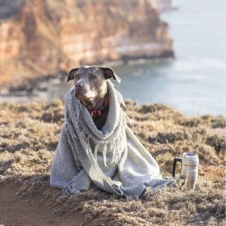 🐾 Věděli jste, že... …i zdánlivě drobné změny během dovolené mohou být pro zvířata stresující? Nové prostředí, cesta...