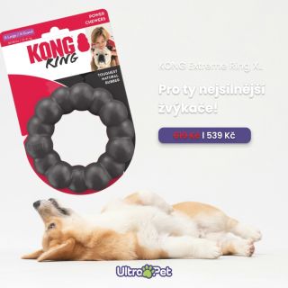 Máte doma pejska, který rozkouše úplně všechno? 🐕🔥 Pak je tu KONG Extreme Ring XL, vyrobený z extra odolné přírodní gumy....