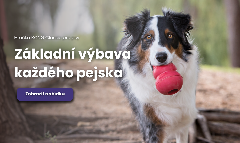 KONG Classic